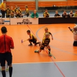 3.turnaj sezóna 2016/2017 (Přípravka žlutí)