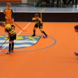 3.turnaj sezóna 2016/2017 (Přípravka žlutí)