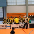 3.turnaj sezóna 2016/2017 (Přípravka žlutí)