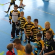 4.turnaj sezóna 2016/2017 (Přípravka žlutí i černí)