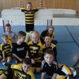 7.turnaj sezóna 2016/2017 (Přípravka)