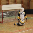 8.turnaj sezóna 2016/2017 (Přípravka)