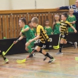 8.turnaj sezóna 2016/2017 (Přípravka)