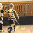 8.turnaj sezóna 2016/2017 (Přípravka)