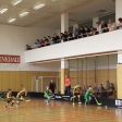 8.turnaj sezóna 2016/2017 (Přípravka)