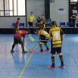 Junior Ostrava cup