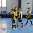 Junior Ostrava cup