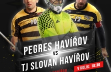 Pegres Havířov vs. TJ Slovan Havířov