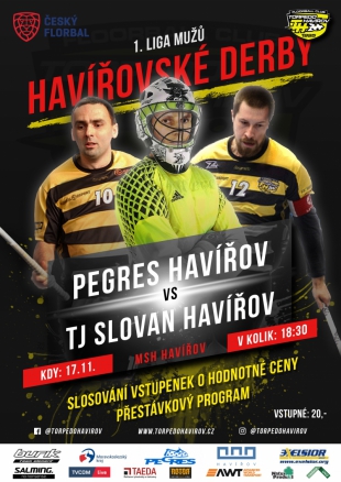 Pegres Havířov vs. TJ Slovan Havířov