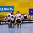 TJ Sokol Královské Vinohrady - Florbal Pegres Havířov (4.finále)