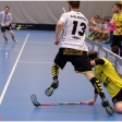 TJ Sokol Královské Vinohrady - Florbal Pegres Havířov (4.finále)