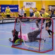 TJ Sokol Královské Vinohrady - Florbal Pegres Havířov (4.finále)