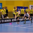 TJ Sokol Královské Vinohrady - Florbal Pegres Havířov (4.finále)