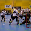 TJ Sokol Královské Vinohrady - Florbal Pegres Havířov (4.finále)