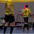 TJ Sokol Královské Vinohrady - Florbal Pegres Havířov (4.finále)