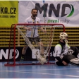 TJ Sokol Královské Vinohrady - Florbal Pegres Havířov (4.finále)